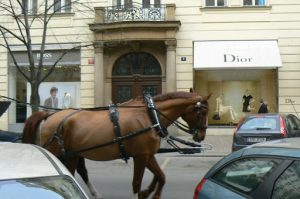 Haute couture shops in old town center.