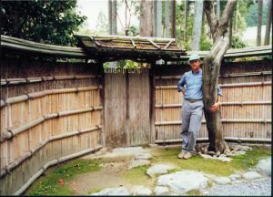 Kyoto: a small bamboo enclosed garden.