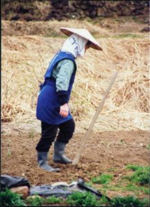 Farmer in the ‘Japanese Alps’.