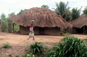 Scenes along the bus ride to Ilha de Mocambique: thatch