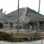 Scenes along the bus ride to Ilha de Mocambique: bamboo