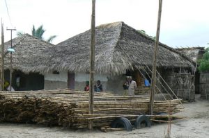 Scenes along the bus ride to Ilha de Mocambique: bamboo