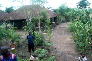 Scenes along the bus ride to Ilha de Mocambique: thatch