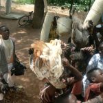 Scenes along the bus ride to Ilha de Mocambique: live