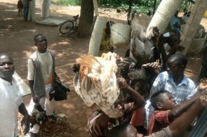 Scenes along the bus ride to Ilha de Mocambique: live