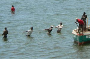 Net fishing in the shallow water of the lagoon.