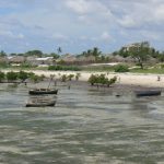 Low tide along the shoreline.