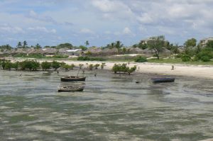 Low tide along the shoreline.