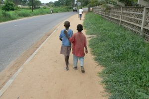 Friends along the road.