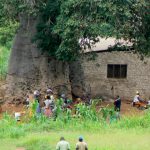 Local village detail with abode house and huge boabab tree.