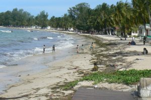 Beach scene in Pemba.