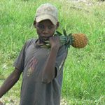 Adolescent boy selling pineapples.