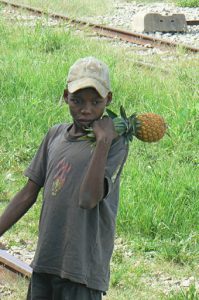 Adolescent boy selling pineapples.