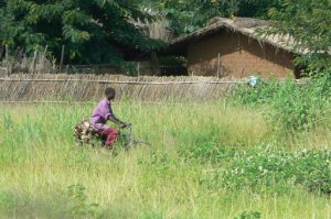 Bicyclist on a path near a mud brick and