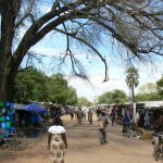 In Mangochi market.