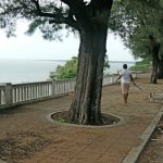 Oceanfront promenade.