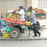 Portable vegetable carts.