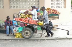 Portable vegetable carts.