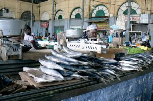Central Municipal market fish vendors.