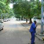 Mimosa trees line many avenues.