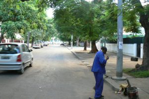 Mimosa trees line many avenues.