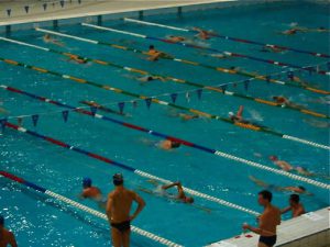 Swimmers warming up before their races.