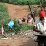 Along the road to Malawi’s capital Lilongwe: a local barbeque