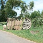 Along the road to Malawi’s capital Lilongwe: locally woven baskets,