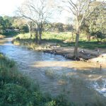 The Lilongwe River is muddy but useful.