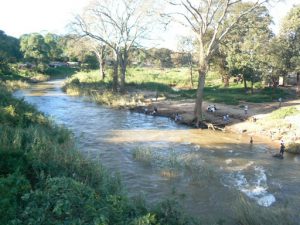 The Lilongwe River is muddy but useful.