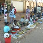 Farmer families bring crops (corn) into town to sell for