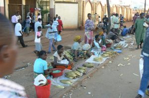 Farmer families bring crops (corn) into town to sell for