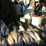 Fish at the Lilongwe market.