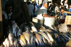 Fish at the Lilongwe market.