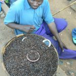 Fried cockroaches at the Lilongwe market.