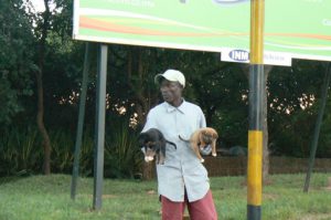 Roadside guy selling puppies.