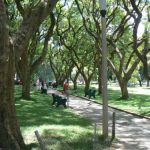 Harare: downtown central park