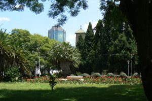 Harare: downtown business district - view from central park