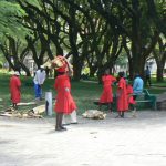 Harare: downtown central park ladies picking up firewood from a