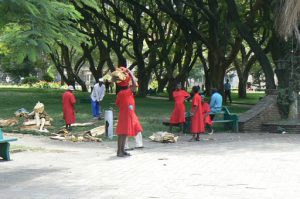 Harare: downtown central park ladies picking up firewood from a