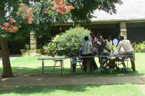 Harare: downtown business district - Anglican Cathedral chorus members rehearsing