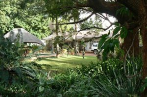 Upscale house in leafy surburb of Harare