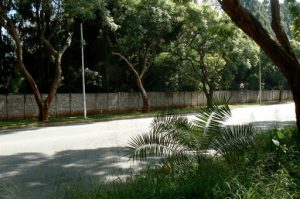 Stone walls with barbed wire surround the presidential mansion. The