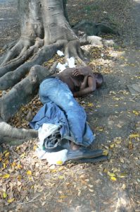 A homeless man sleeping under a tree. Poverty and despair