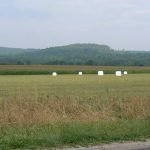 Argonne-Meuse Region: Forest of Argonne, Battle Site