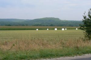 Argonne-Meuse Region: Forest of Argonne, Battle Site