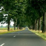 Argonne-Meuse Region: Rural Road