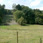 Argonne-Meuse Region: Chatel Chehery Forest--Sergeant York Trail