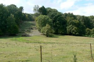 Argonne-Meuse Region: Chatel Chehery Forest--Sergeant York Trail