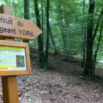 Argonne-Meuse Region: Chatel Chehery Forest--Sergeant York Trail